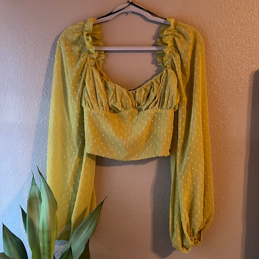 Forever 21 Swiss Dot Balloon Sleeve Cropped Blouse